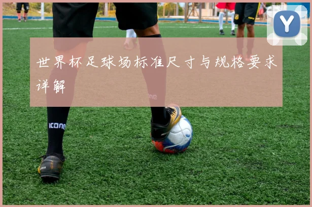 世界杯足球场标准尺寸与规格要求详解