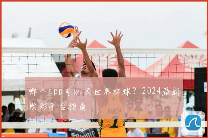 哪个app可以买世界杯球？2024最新购彩平台指南